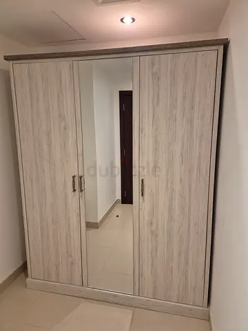 Wardrobe 172 x 58