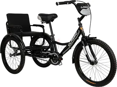Childrens Tricycle With Padded kids Back Seat size 16