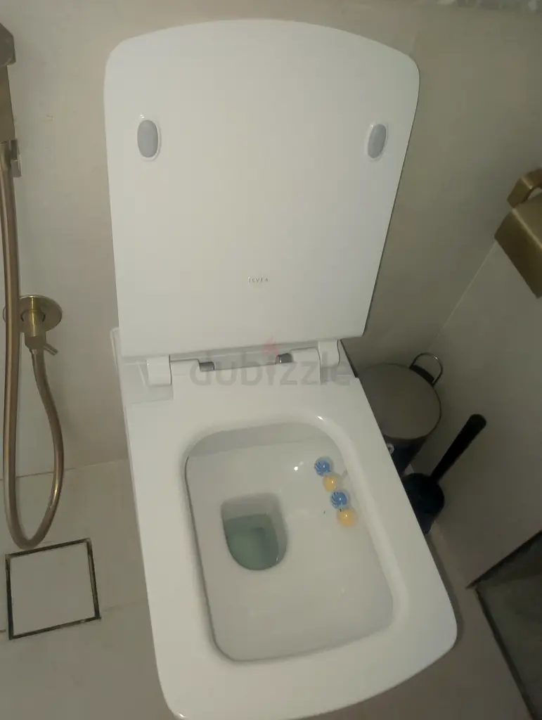DPV_View_Image_2