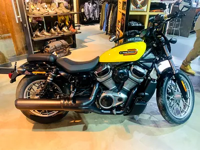 HD Nightster Special