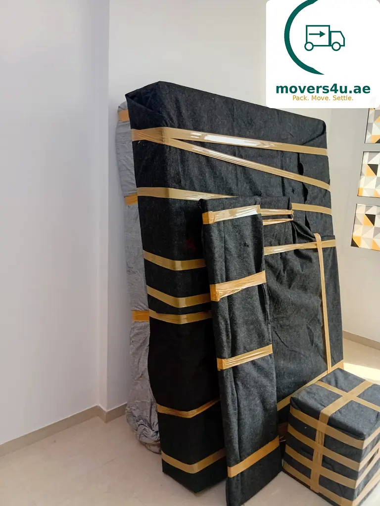 DPV_View_Image_1