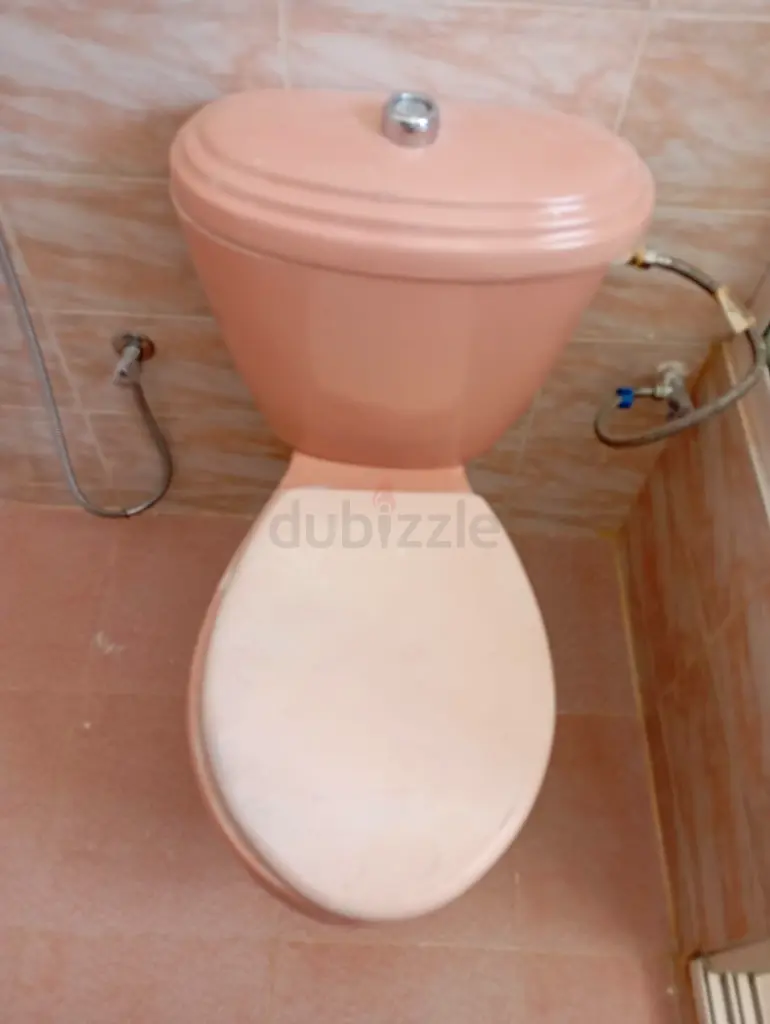DPV_View_Image_0