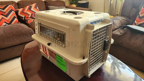 Cats and dogs carriers for air travel