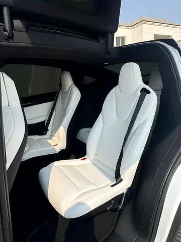 2020 Tesla MODEL X — фото 5