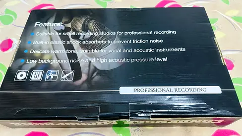 PROFESSIONAL CONDENSER MICROPHONE