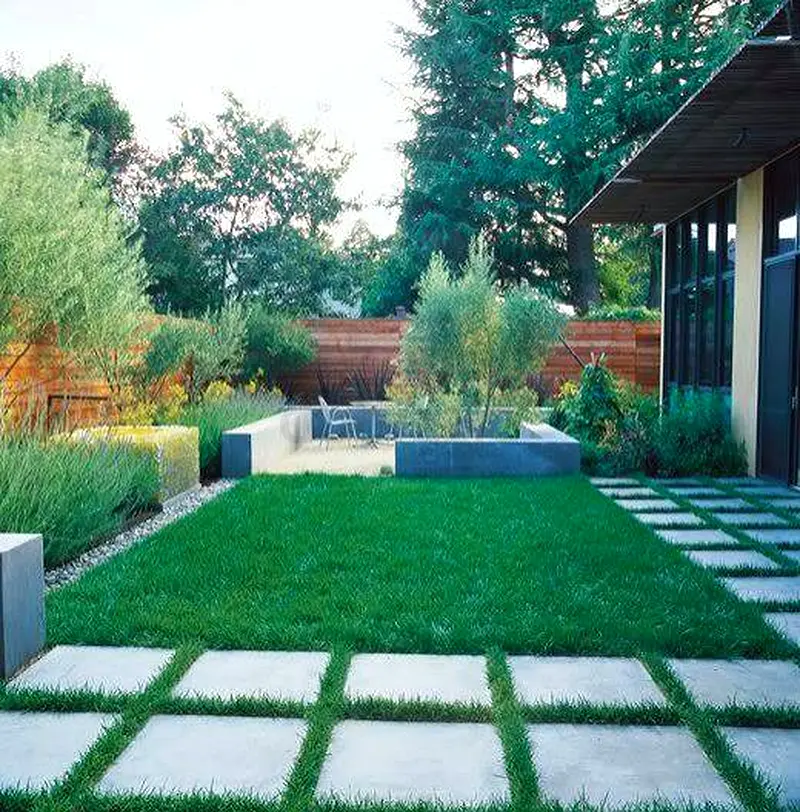 DPV_View_Image_2