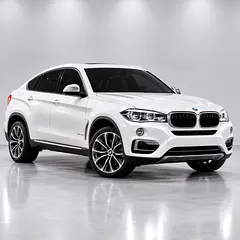 2015 BMW X6