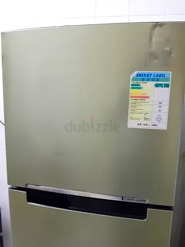 Refrigerator - Need minor maintenance