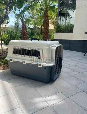 Cats and dogs carriers for air travel
