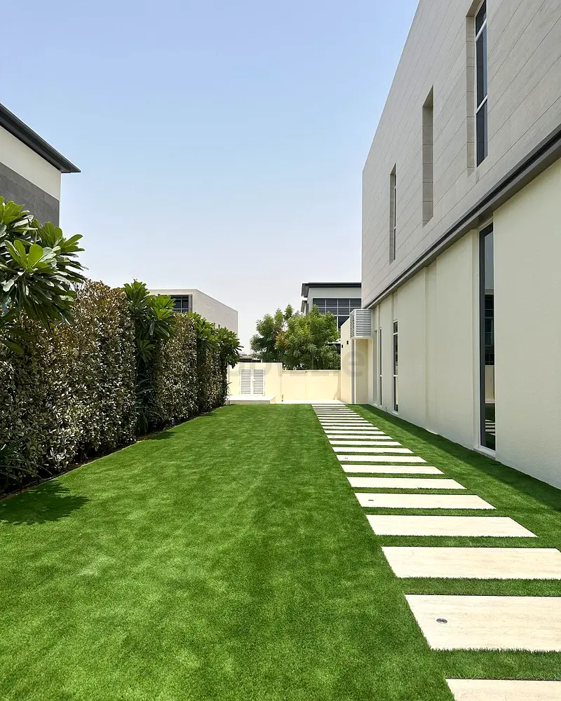 DPV_View_Image_1