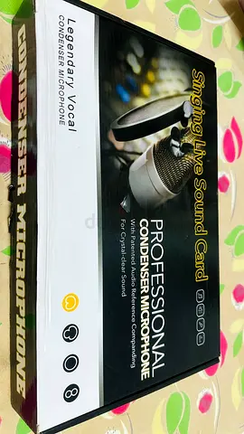PROFESSIONAL CONDENSER MICROPHONE