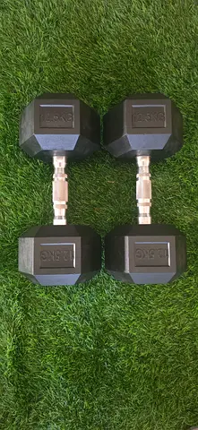 12.5kg hex dumbells