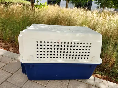 Dogs carriers for air travel