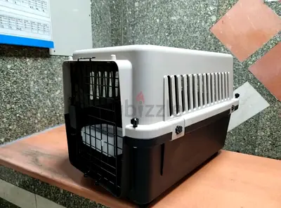 Cats and dogs carriers for air travel