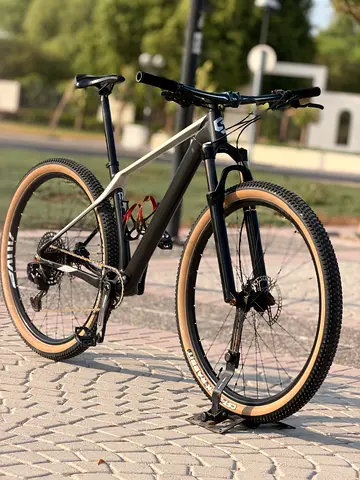Sunpeed carbon Mtb bike