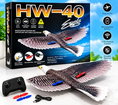 Plane, Remote Control Eagle Plane, RTF Airplane,