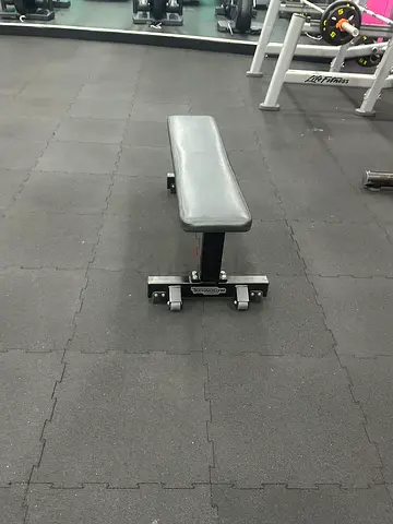 Technogym flat bench