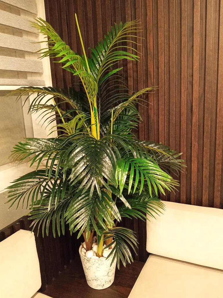 DPV_View_Image_1