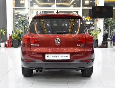2014 Volkswagen TIGUAN 照片 5