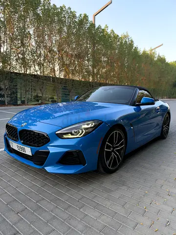 2019 BMW Z4 sDrive30i M Sport European Specs