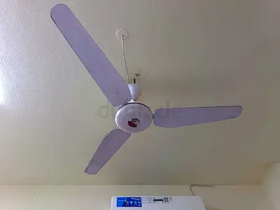 Ceiling Fan