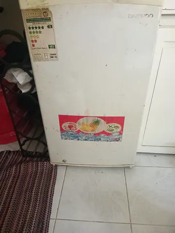 Fridge