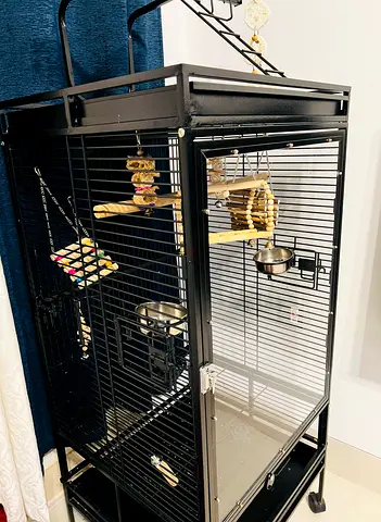 Solid premium metal Bird cage stand with wooden perch, ladder , feeding cup and toys.