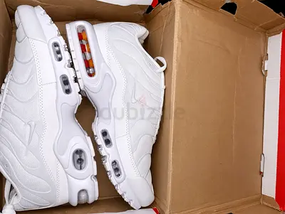 Nike air max plus