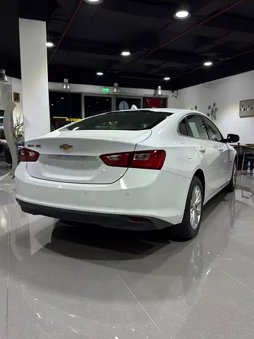 2019 Chevrolet MALIBU thumbnail 17