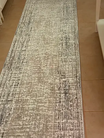 Entrance rug