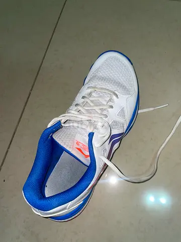 Lining shoe