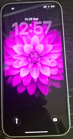 iPhone in good working condition - unlocked