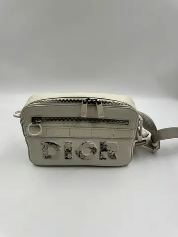 DIOR Daniel arsham safari messager bag