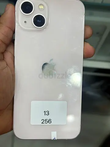 13 256 Physical Sim