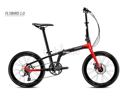 Flybird 1.0 Trinx alloy 20-inch folding bicycle