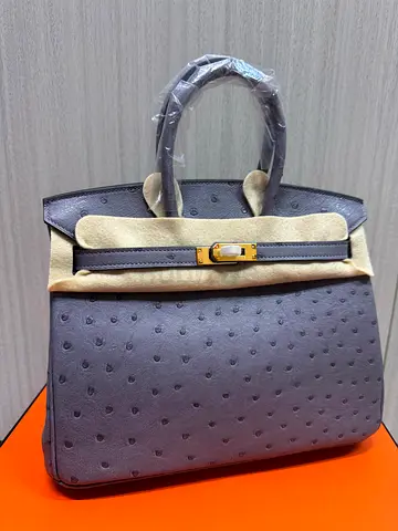 Hermès Birkin 25 ostrich leather bag