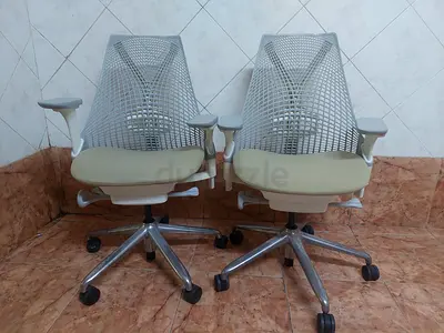 I'm Selling Herman Miller Sayl Chair Back Support Fully Loaded