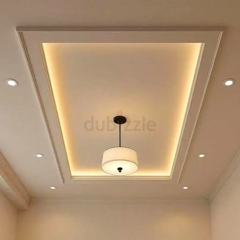 DPV_View_Image_0