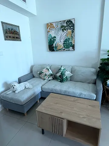 Modern L-Shaped Sectional Sofa with Cushions and covers