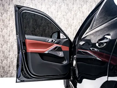 2025 BMW X6 — миниатюра 8