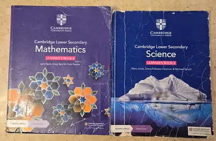 Year 8 - A Level Text Books