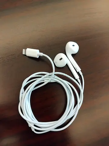 Apple EarPods with Lightning Connector