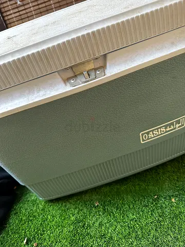 Camping cooler