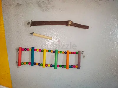 Bird perch, swing and colorful wooden ladder - used