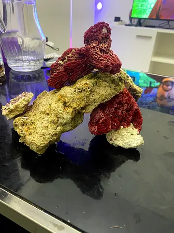 Salt water rock 3 kg for urgent sale
