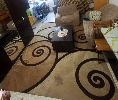 Large beige and brown swirl area rug — good condition, big and clean carpet