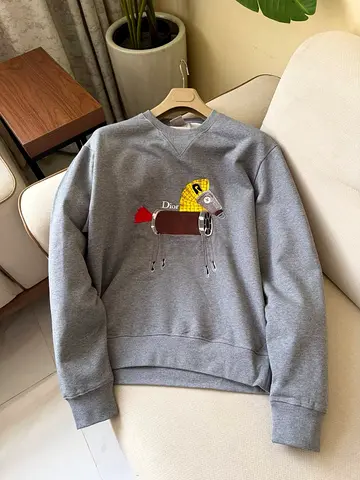 Dior sweatshirt