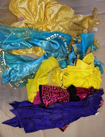 Girls costumes (take all)