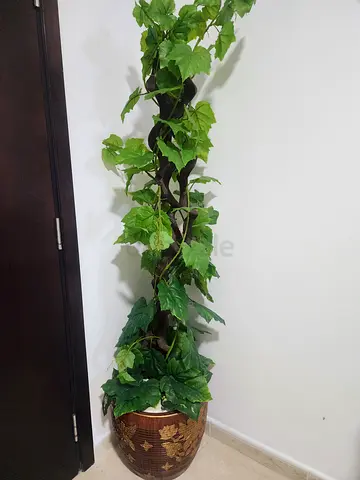 Artificial plants