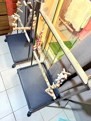 Parrot stand